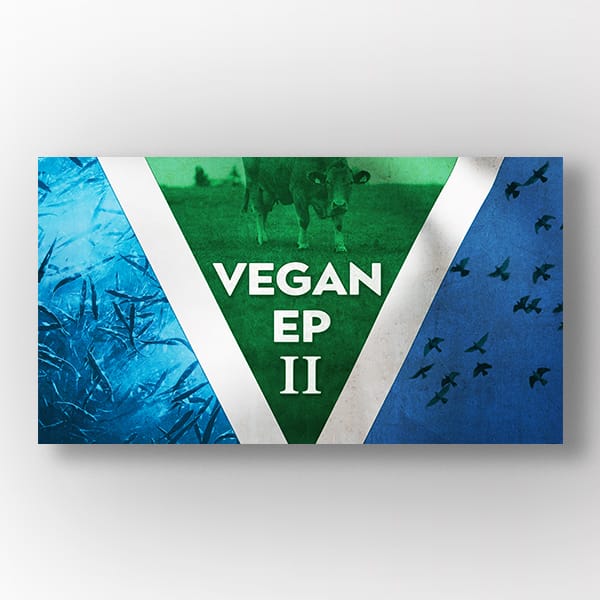 Music-cover for Vegan EP II - VVANDEL